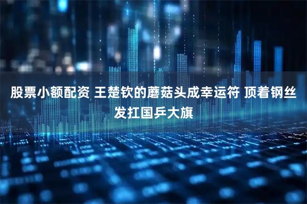 股票小额配资 王楚钦的蘑菇头成幸运符 顶着钢丝发扛国乒大旗