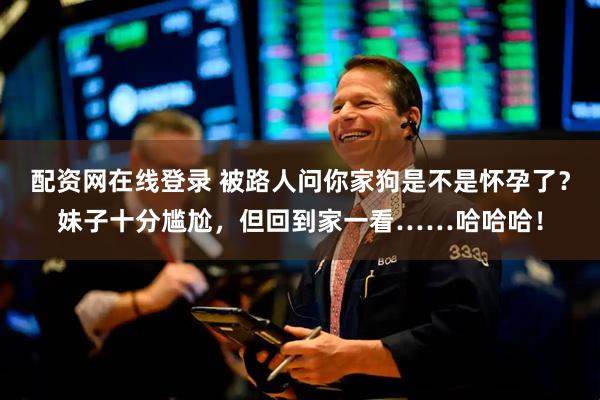 配资网在线登录 被路人问你家狗是不是怀孕了？妹子十分尴尬，但回到家一看……哈哈哈！